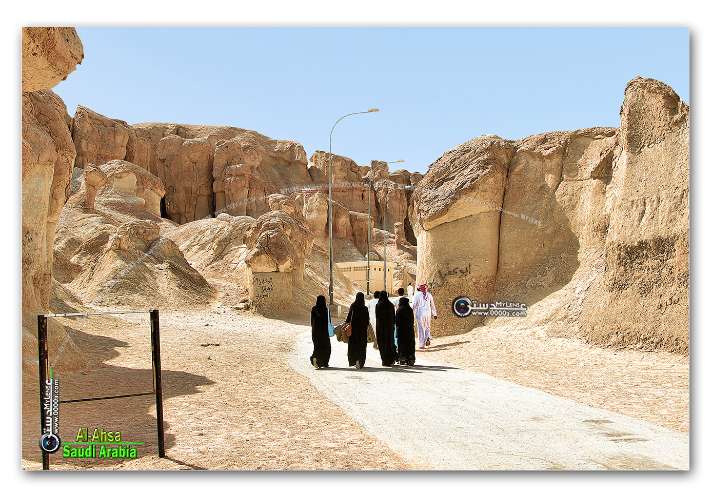Saudi Al-Ahsa Oasis Joins UNESCO Heritage List | Al Bawaba